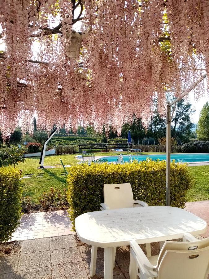 Agriturismo Ca' Castellani Bardolino Exterior photo